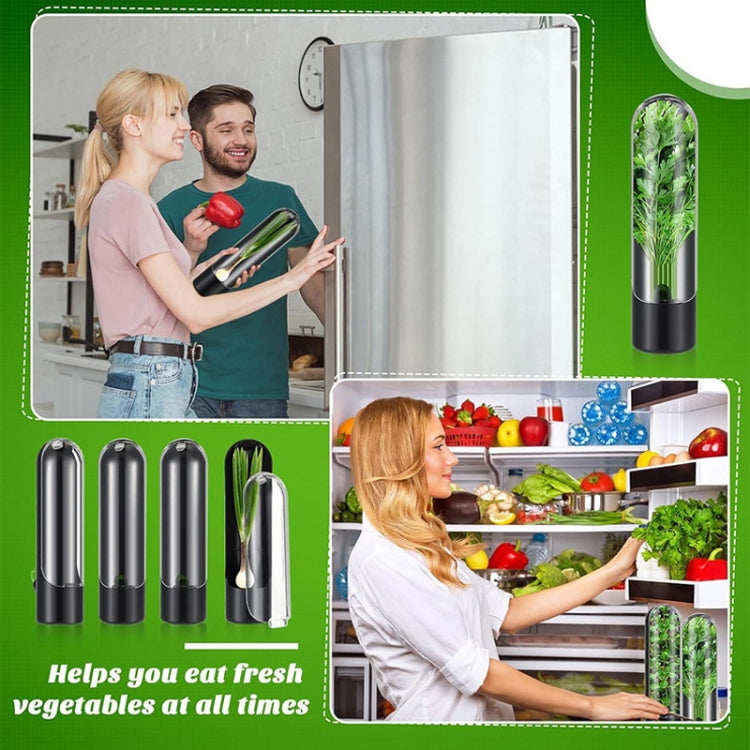 Contenitore per conservare verdure fresche 24,5x6,5 cm