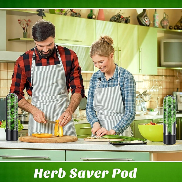 Contenitore per conservare verdure fresche 24,5x6,5 cm