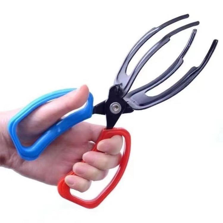 Pinza per cattura pesci con 2 o 3 artigli 24cm