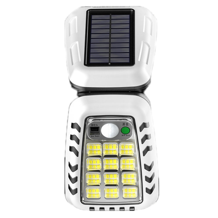 Luci solari da giardino telecomandate con LED