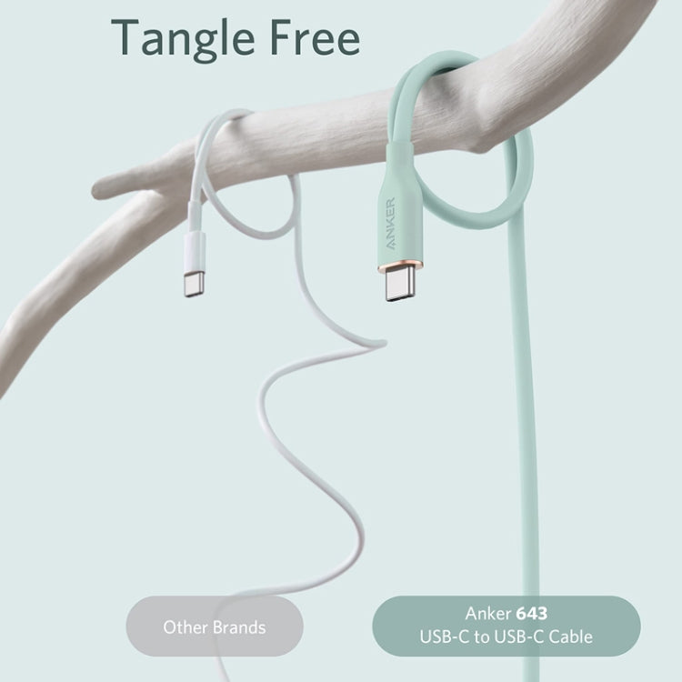 Anker Powerline III Cavo USB-C 100W 0,9m per iPhone