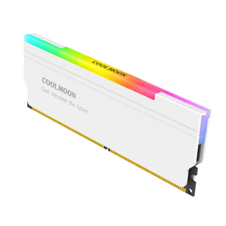 Custodia raffreddamento ARGB per memory stick PC