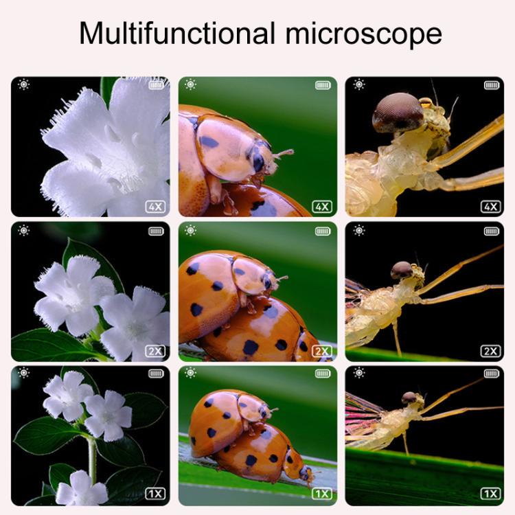Microscopio digitale per bambini 500X con schermo IPS e 8 LED - immagine 6