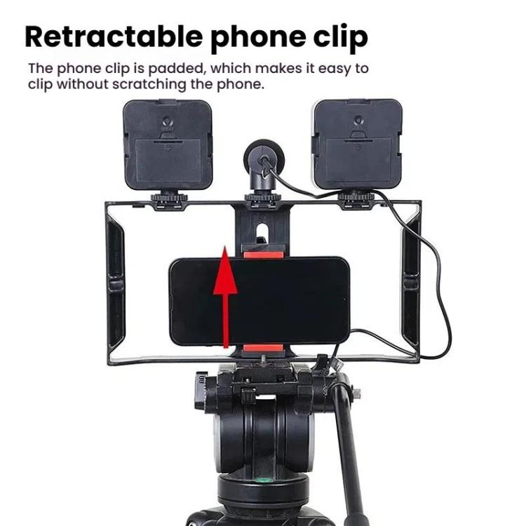 Kit video per smartphone AY-49X con luci LED e microfono - immagine 3