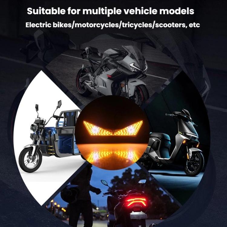 Luce targa moto universale LED 12V impermeabile