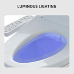 Sedile WC intelligente con comandi a bracciolo, dotato di riscaldamento istantaneo, asciugatore ad aria calda, ugello autopulente e luce notturna a LED., Long Type US Plug, Short Type US Plug, Long Type EU Plug, Short Type EU Plug