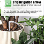 Sistema di irrigazione automatico doppia pompa con controllo Wi-F