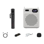 Microfono multifunzione wireless ad alto volume DIYO-1125
