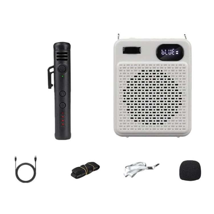 Microfono multifunzione wireless ad alto volume DIYO-1125