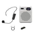 Microfono multifunzione wireless ad alto volume DIYO-1125