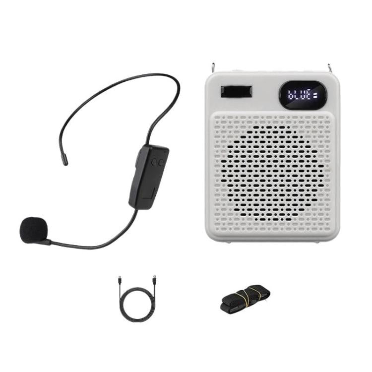 Microfono multifunzione wireless ad alto volume DIYO-1125