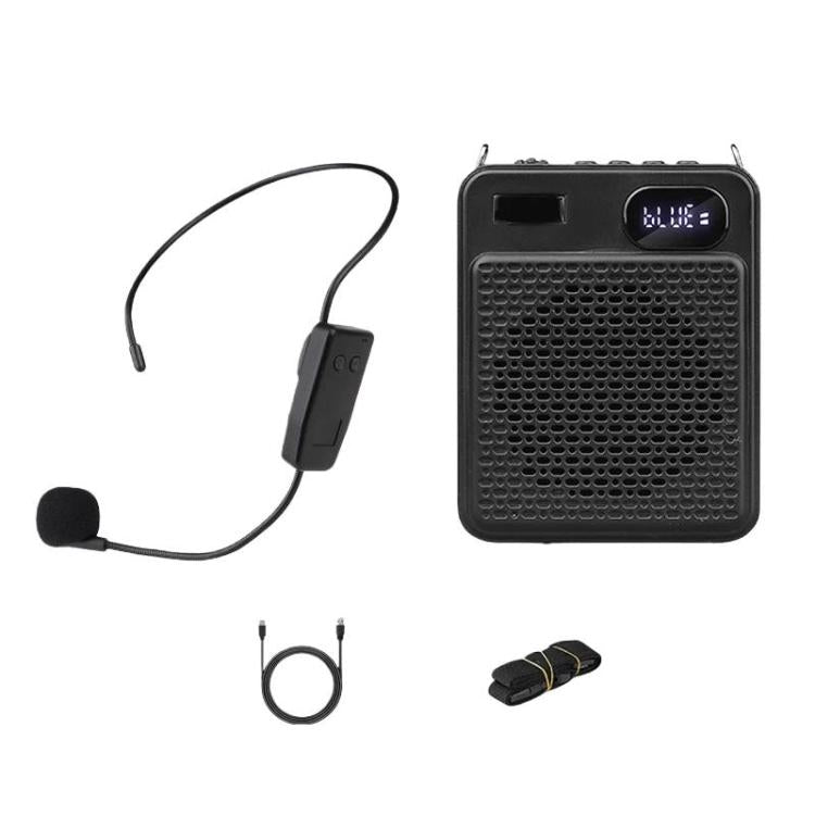 Microfono multifunzione wireless ad alto volume DIYO-1125