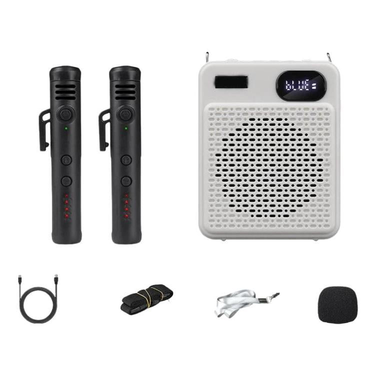 Microfono multifunzione wireless ad alto volume DIYO-1125