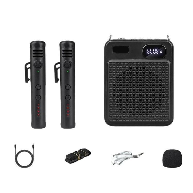 Microfono multifunzione wireless ad alto volume DIYO-1125
