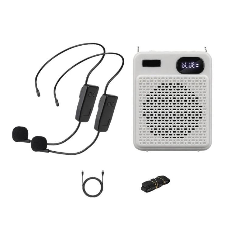 Microfono multifunzione wireless ad alto volume DIYO-1125