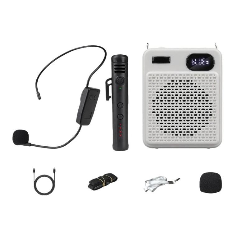 Microfono multifunzione wireless ad alto volume DIYO-1125