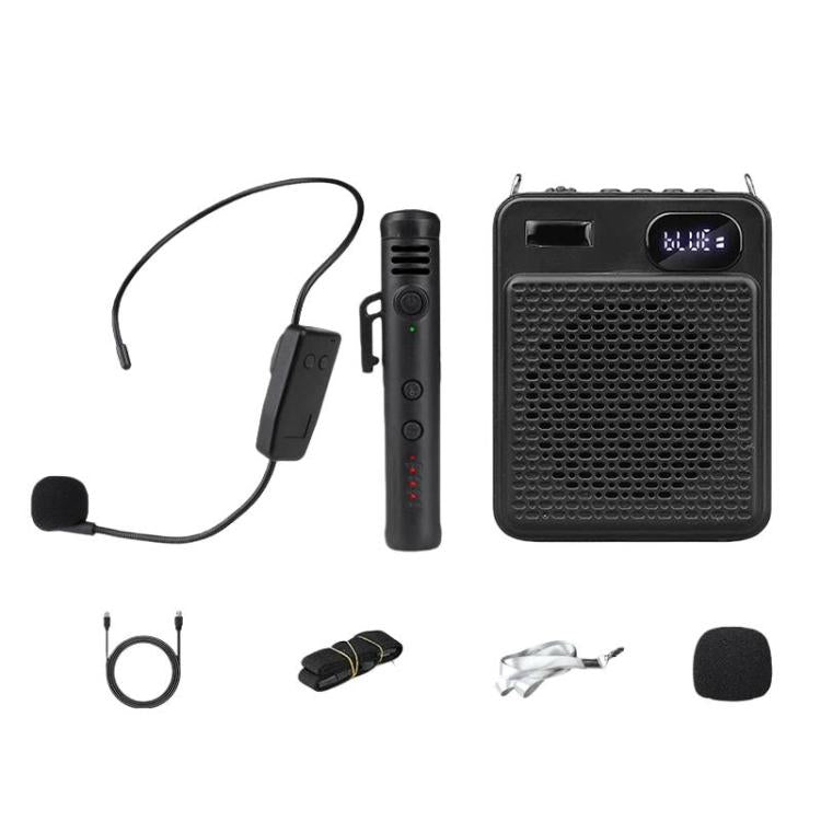 Microfono multifunzione wireless ad alto volume DIYO-1125