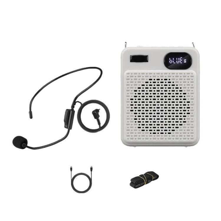 Microfono multifunzione wireless ad alto volume DIYO-1125