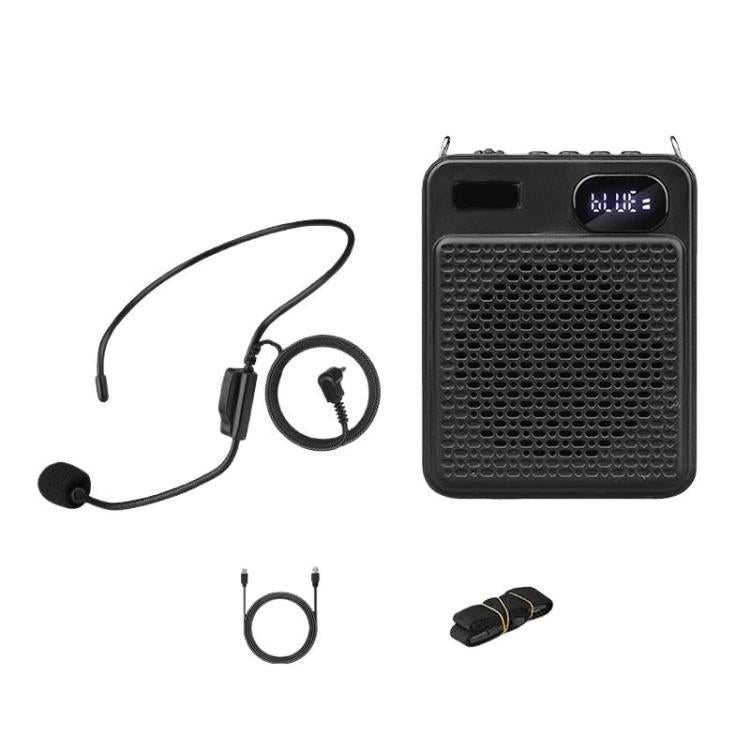Microfono multifunzione wireless ad alto volume DIYO-1125