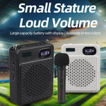 Microfono multifunzione wireless ad alto volume DIYO-1125