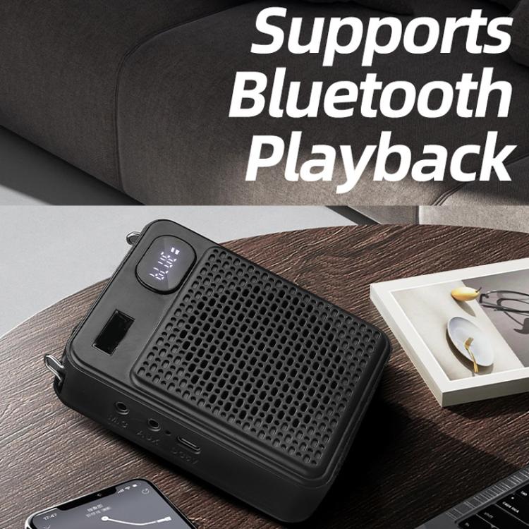 Microfono multifunzione wireless ad alto volume DIYO-1125