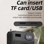 Microfono multifunzione wireless ad alto volume DIYO-1125