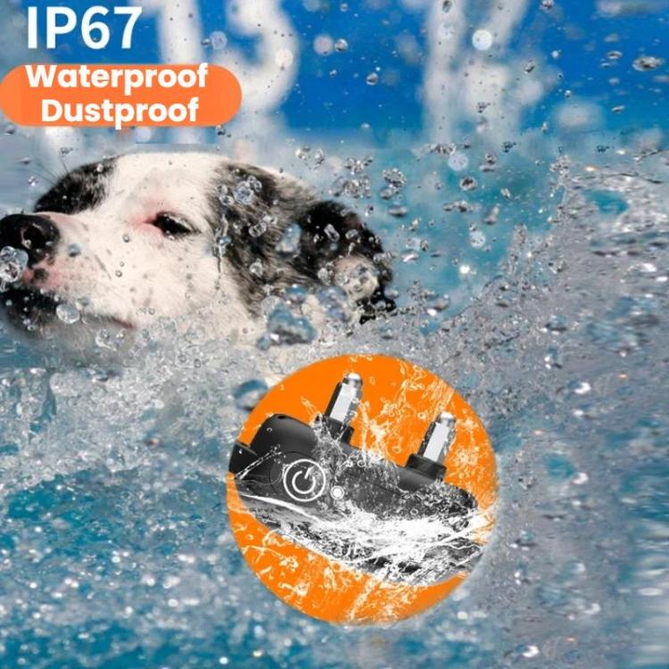 Collare addestramento impermeabile 2 in 1 per cani