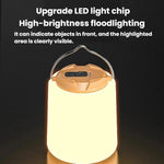 Lampada portatile LED da campeggio 1200mAh USB
