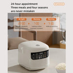 Cuociriso elettrico 2 litri 400W con display a colori