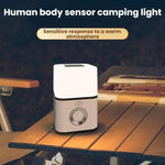Luce notturna a sensore ricaricabile 5W da appendere