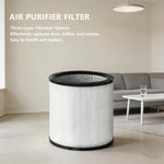 Filtro di ricambio HEPA per purificatori Dyson TP00-TP03