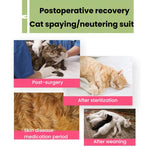 Tuta post-operatoria estiva elasticizzata per gatti