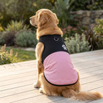 Gilet traspirante per cani con attacco guinzaglio XL 2XL