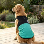 Gilet traspirante per cani con attacco guinzaglio XL 2XL