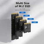 Box esterno SSD Blueendless USB4 NVMe 32TB RAID