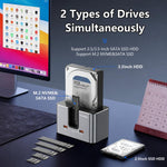 Blueendless Docking Station Dual Bay per SSD M.2 e SATA