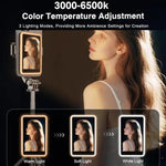 Dispositivo wireless duplicazione schermo posteriore 3,97"