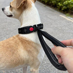 Collare per cani con maniglia di controllo e fibbia sicurezza