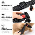 Collare per cani con maniglia di controllo e fibbia sicurezza