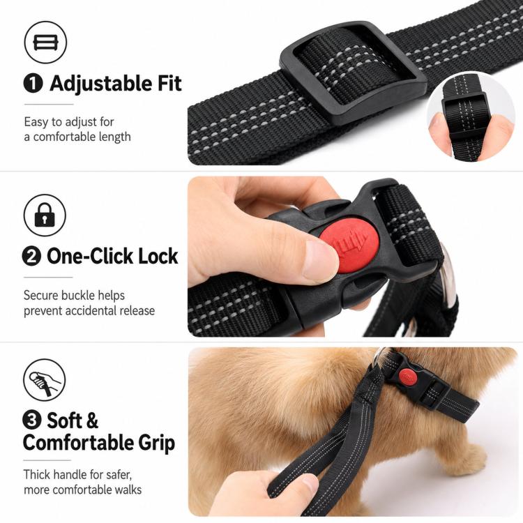 Collare per cani con maniglia di controllo e fibbia sicurezza