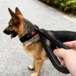 Collare per cani con maniglia di controllo e fibbia sicurezza