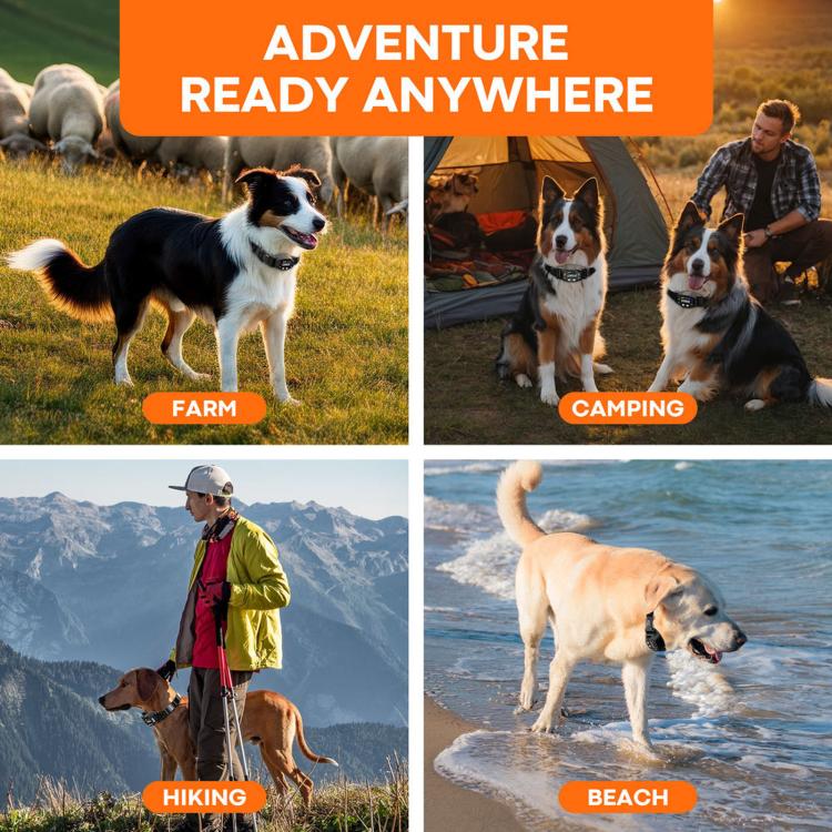 Collare GPS impermeabile con recinzione elettronica per animali