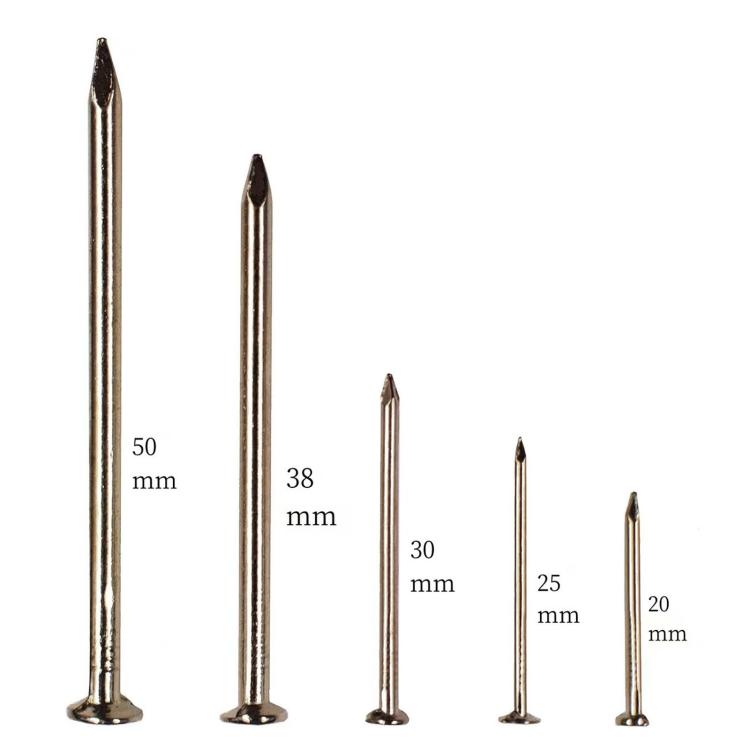 Kit assortimento di chiodi per appendere quadri, 350 pezzi/scatola, 5 misure, set di chiodi per ferramenta