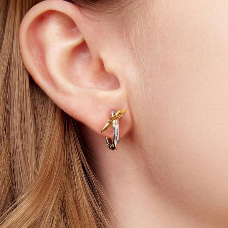 Alt immagine