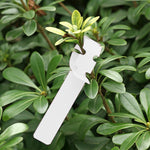 Etichette da giardinaggio in PVC 100 pezzi colorate