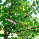 Etichette da giardinaggio in PVC 100 pezzi colorate