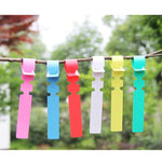 Etichette da giardinaggio in PVC 100 pezzi colorate