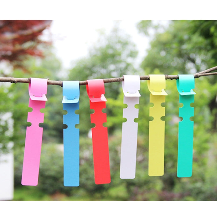 Etichette da giardinaggio in PVC 100 pezzi colorate