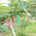 Etichette da giardinaggio in PVC 100 pezzi colorate