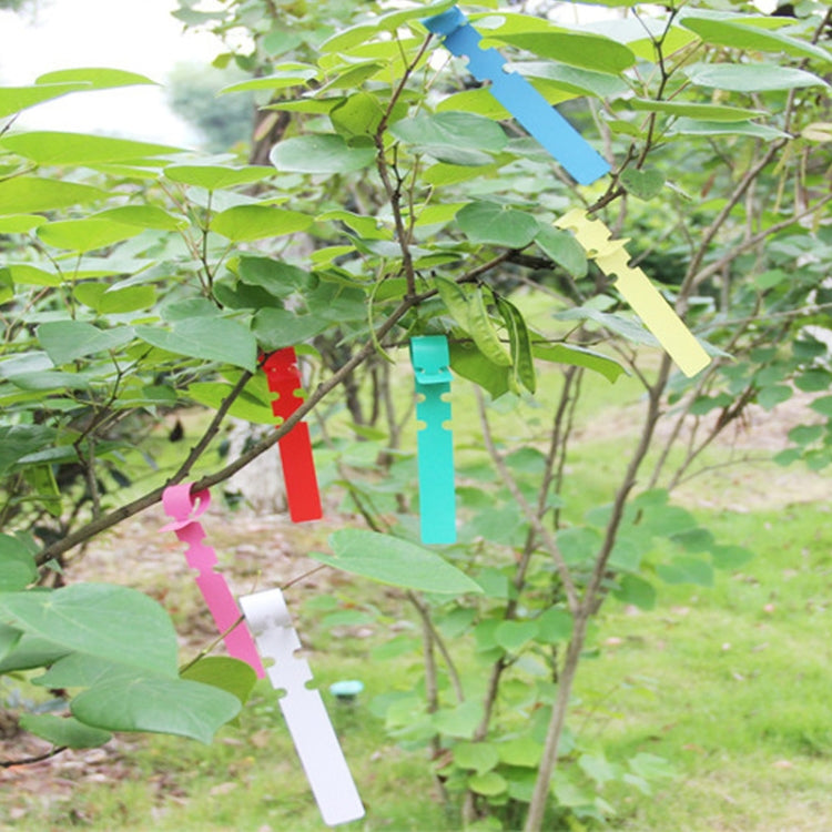 Etichette da giardinaggio in PVC 100 pezzi colorate